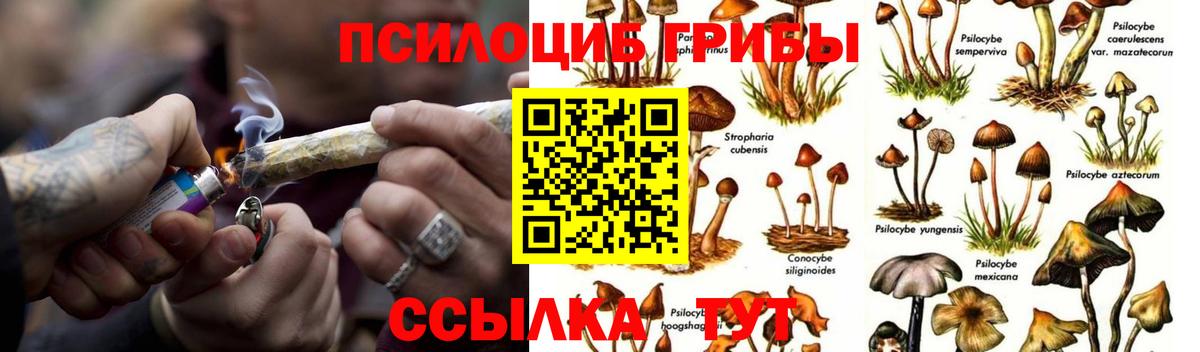 Псилоцибиновые грибы ЛСД Новоуральск
